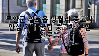 무안군 일로읍 망월리 중고차 안심 거래 꿀팁🍯 #중고차 #무안 #일로읍