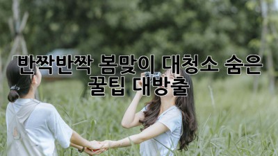 🌸반짝반짝✨ 봄맞이 대청소, 숨은 꿀팁 대방출!