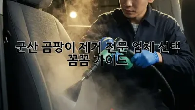 군산 곰팡이 제거 전문 업체 선택, 꼼꼼 가이드 🏡